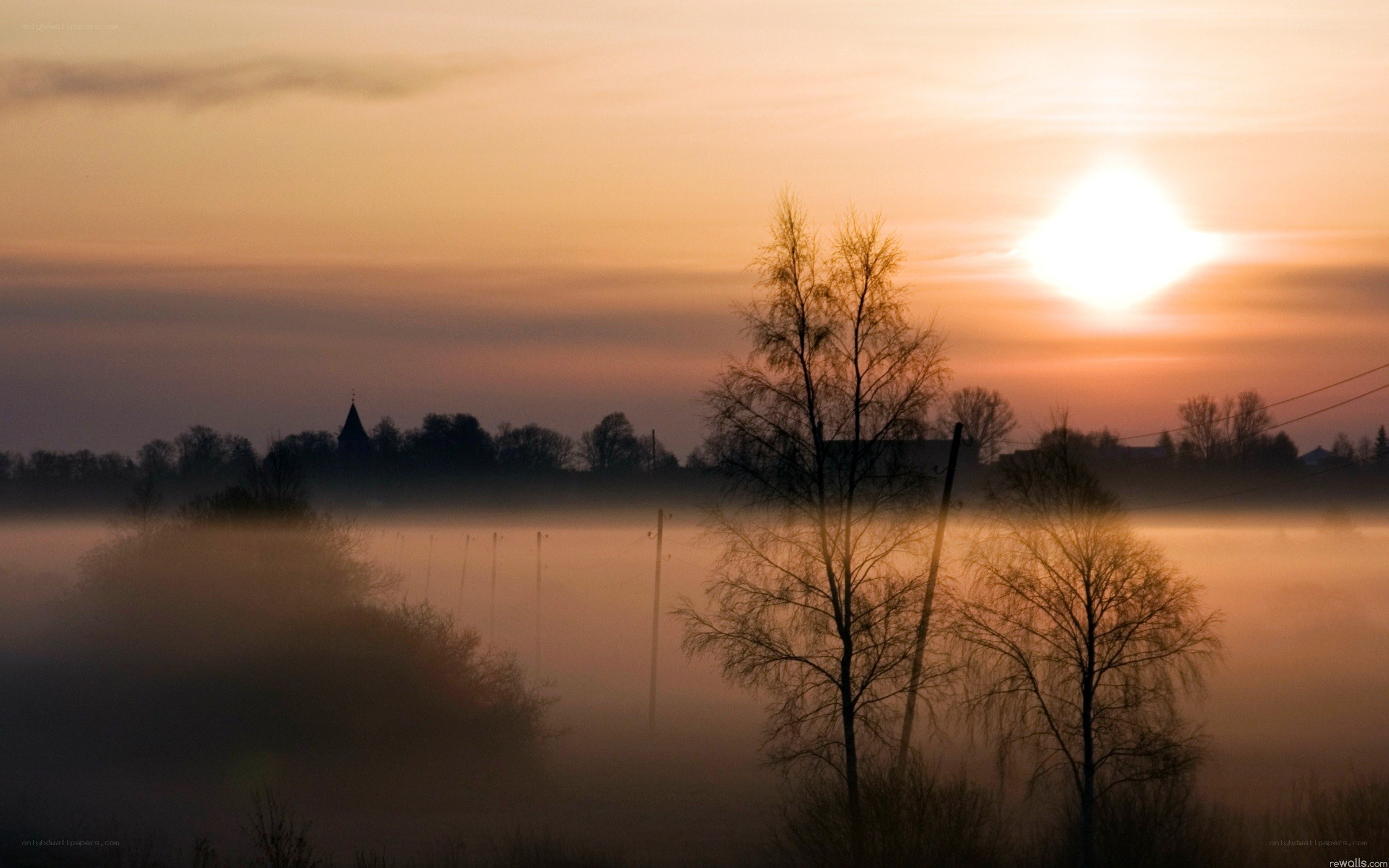 Sunrise over misty landscape