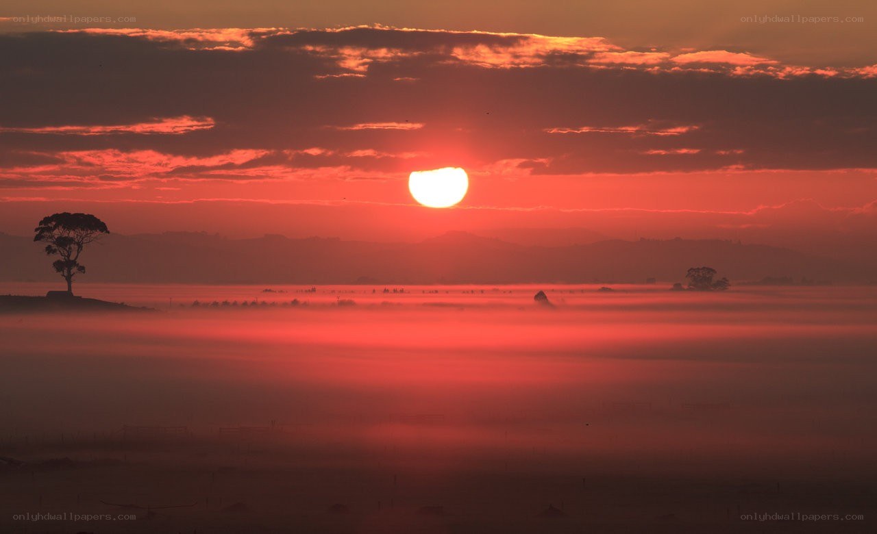 Sunrise over misty landscape