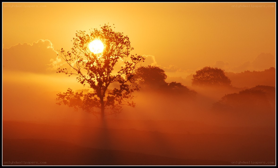 Sunrise over misty landscape