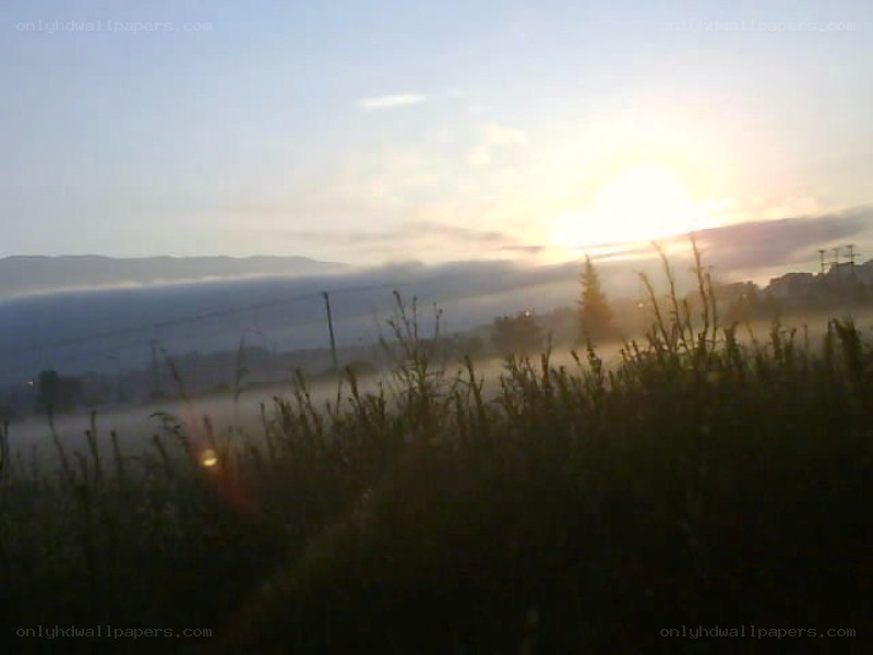 Sunrise over misty landscape