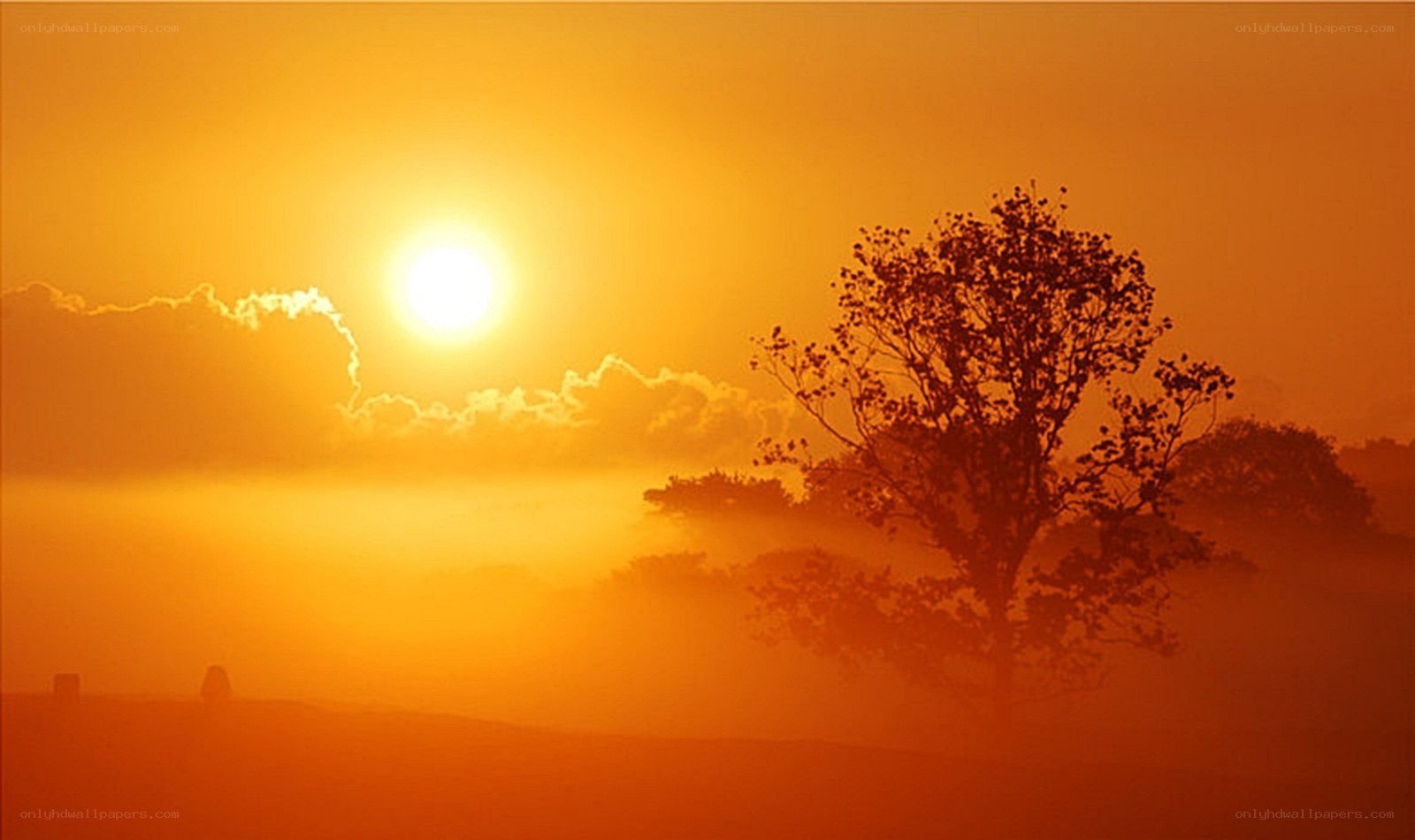 Sunrise over misty landscape