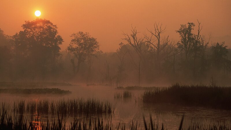 Sunrise over misty marsh