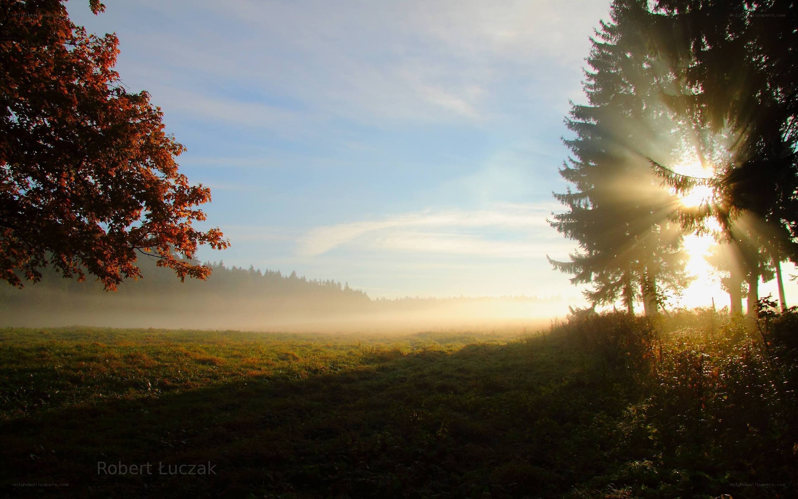 Sunrise over misty meadow