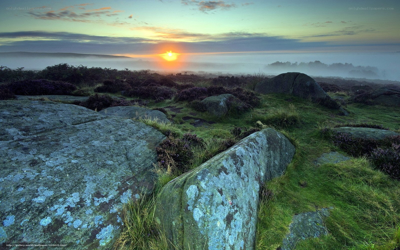 Sunrise over misty moorland