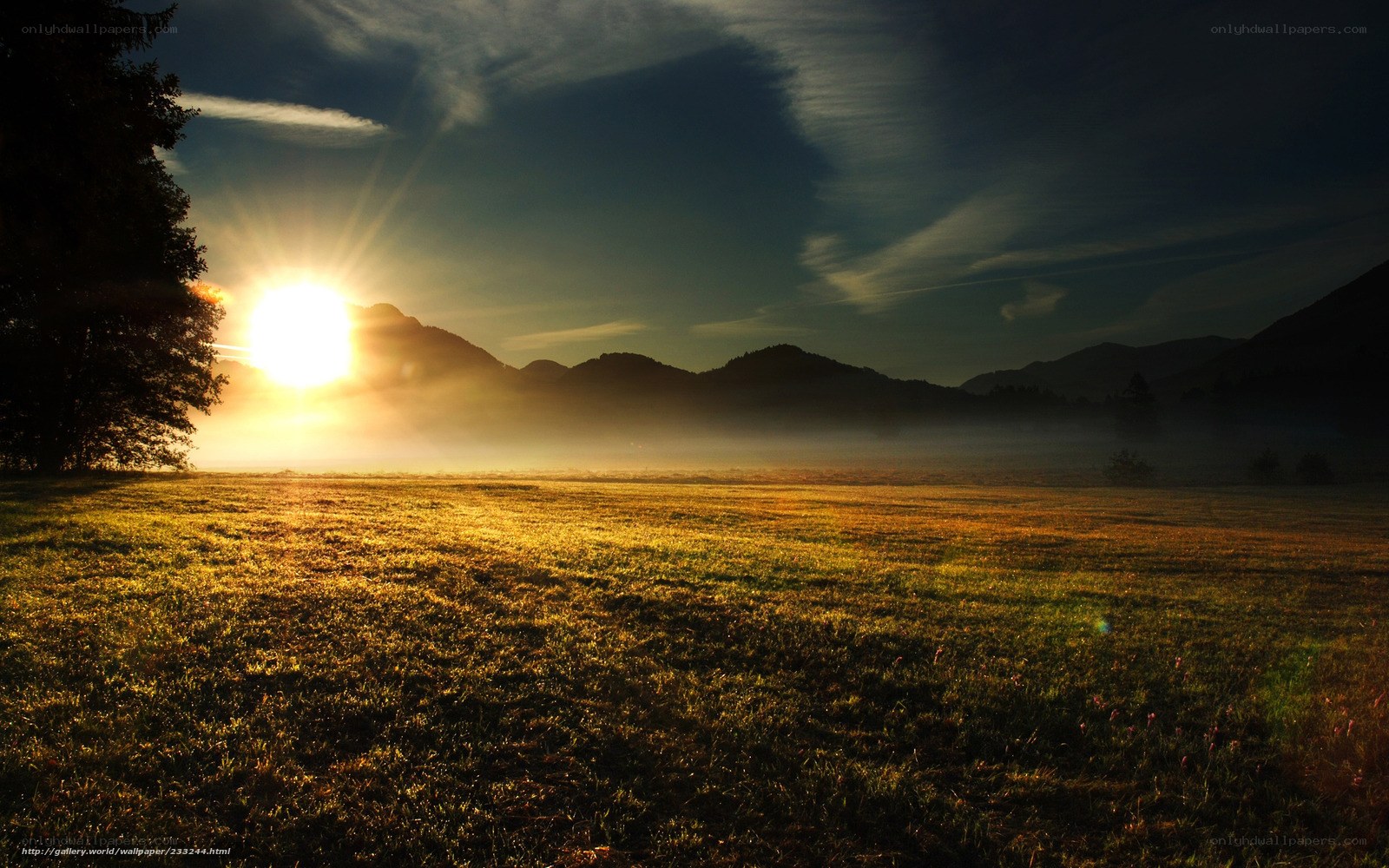Sunrise over misty mountain field