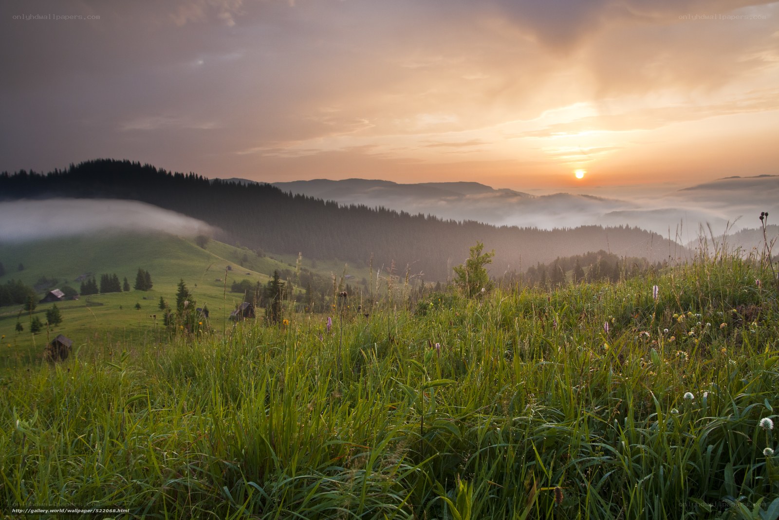 Sunrise over misty mountain hills
