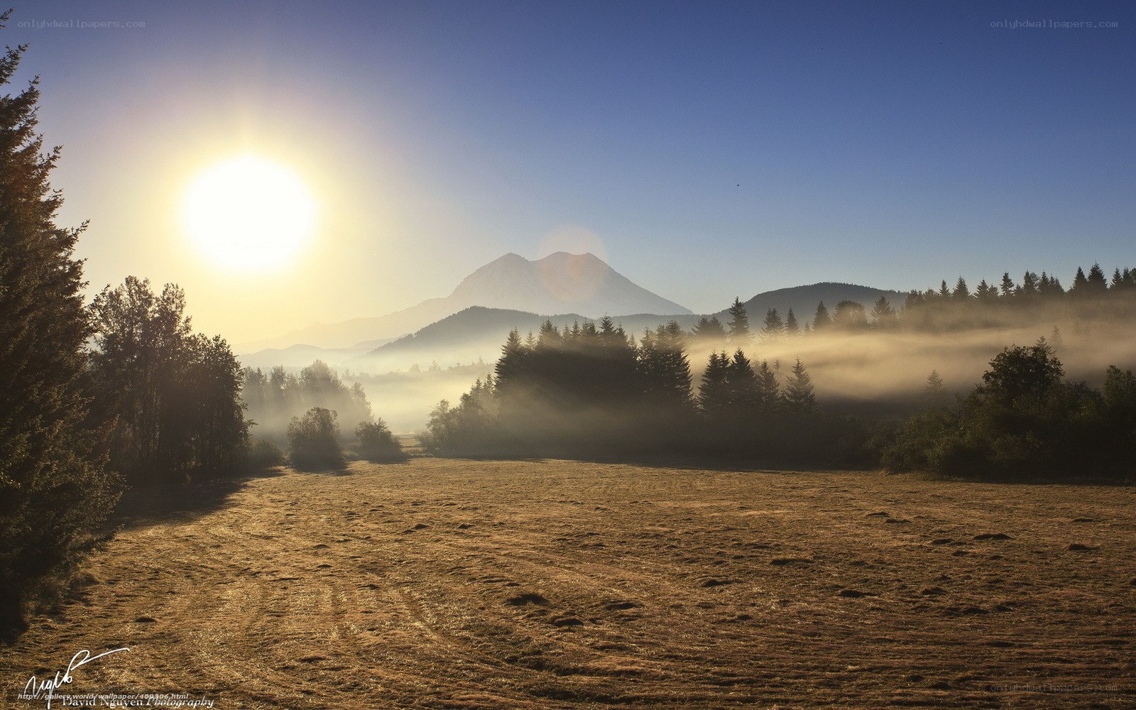 Sunrise over misty mountain valley