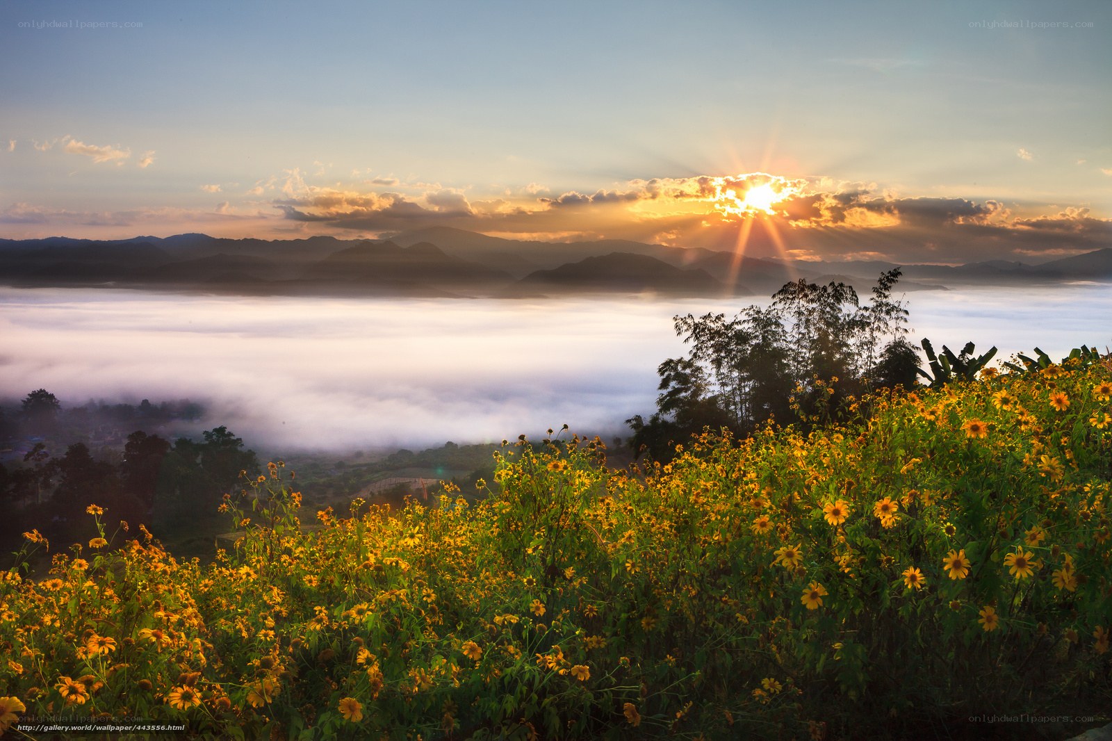Sunrise over misty mountains