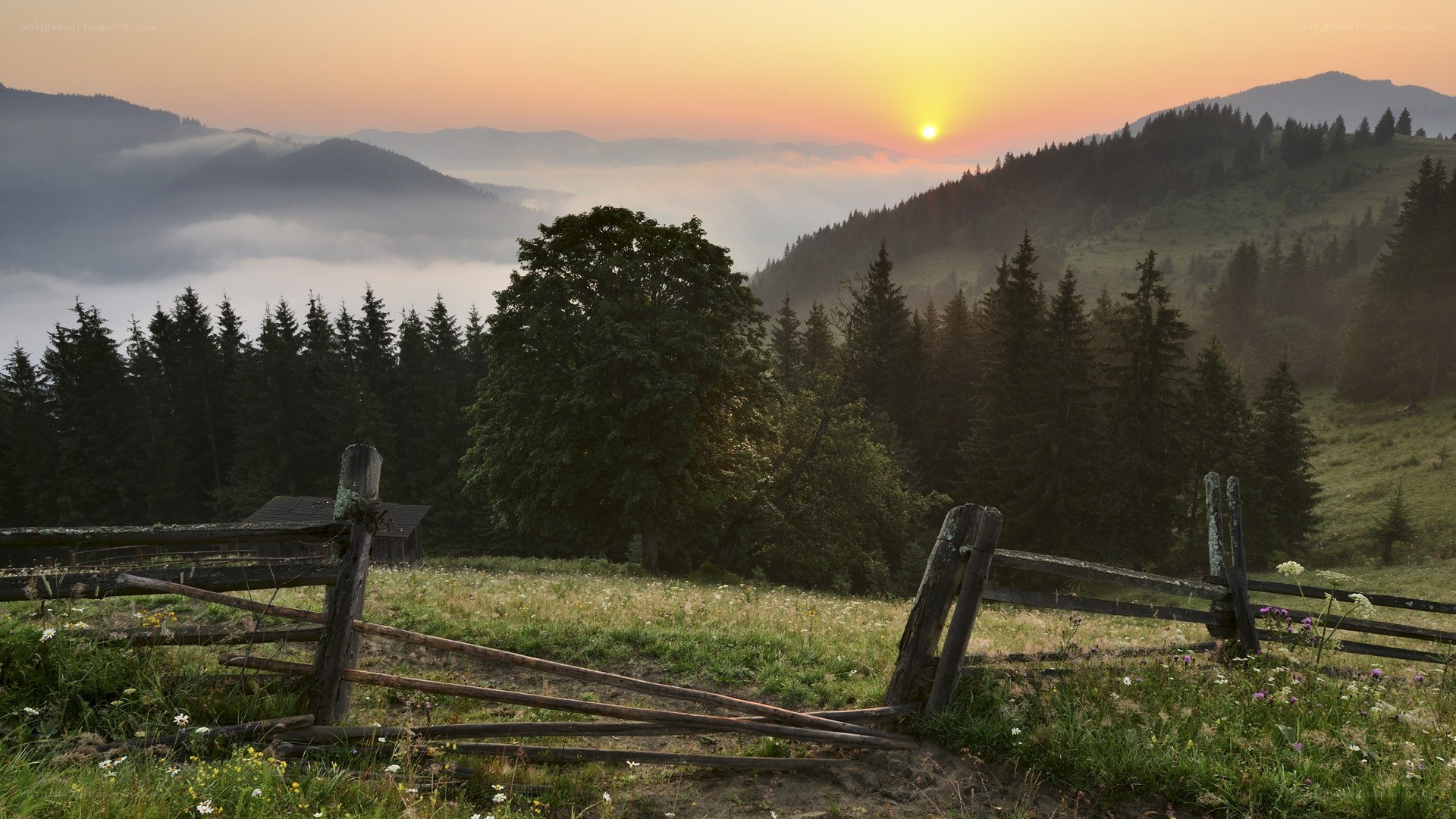 Sunrise over misty mountains