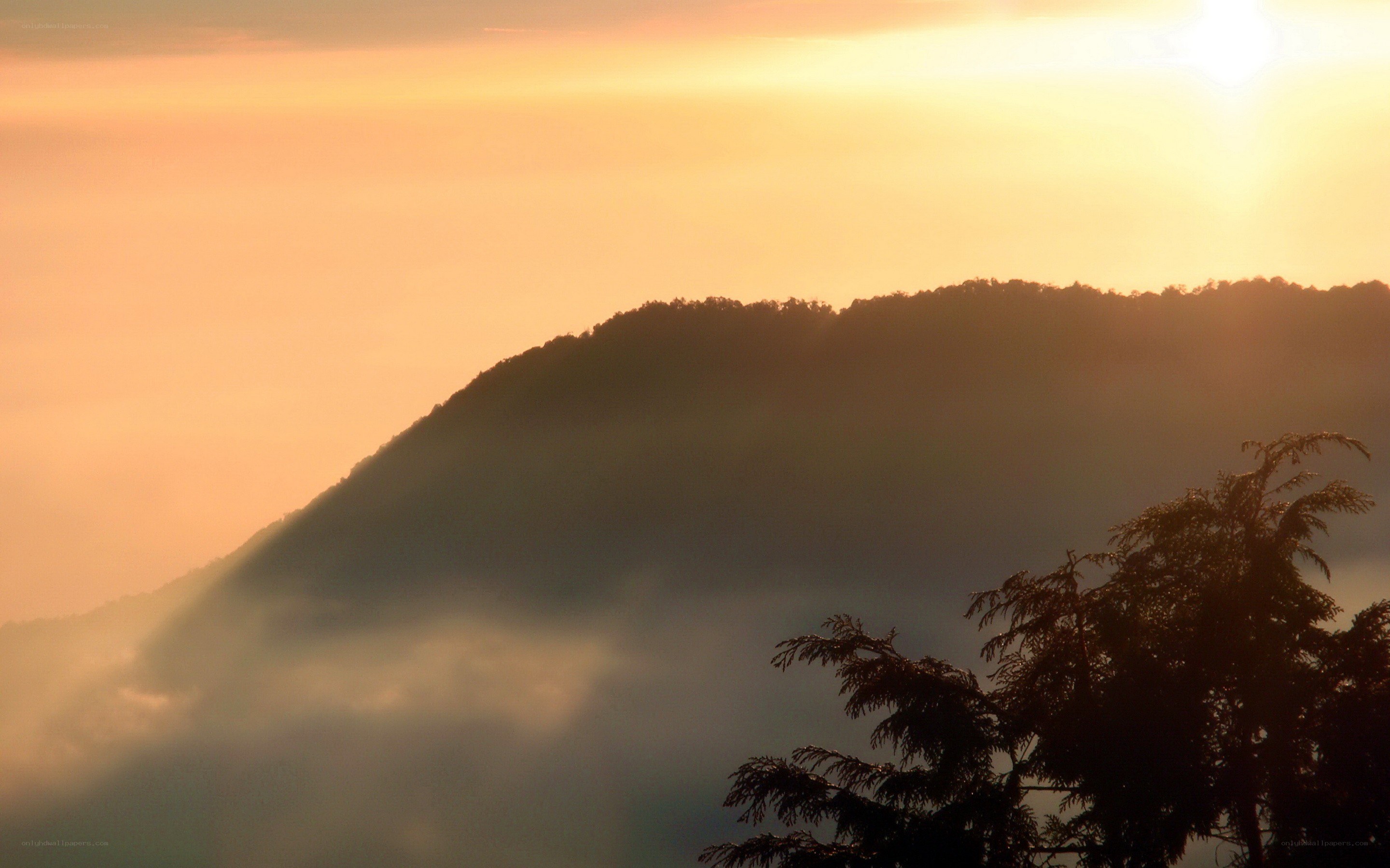 Sunrise over misty mountains