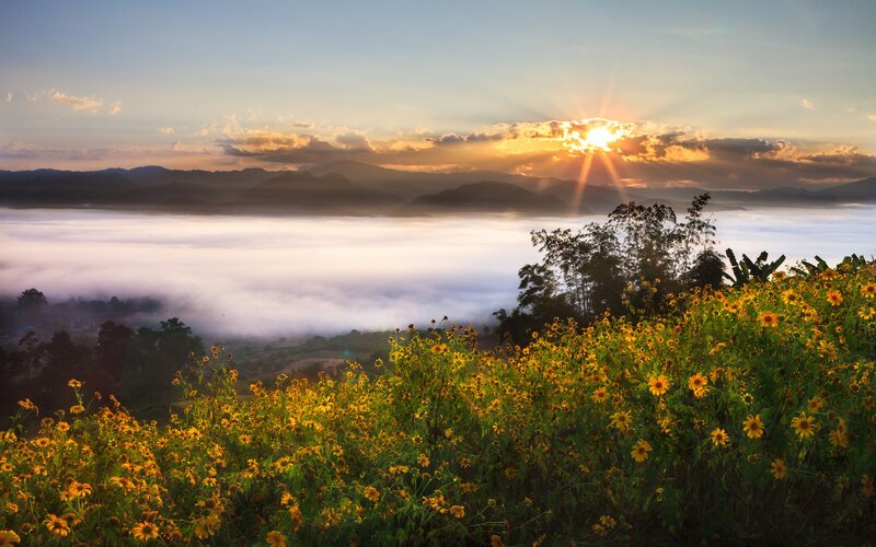 Sunrise over misty mountains