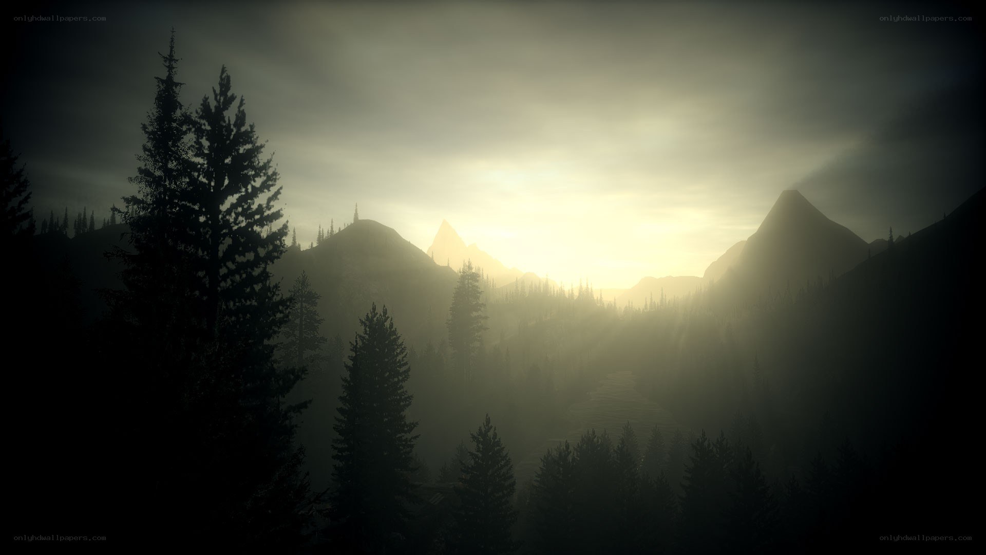 Sunrise over misty mountains