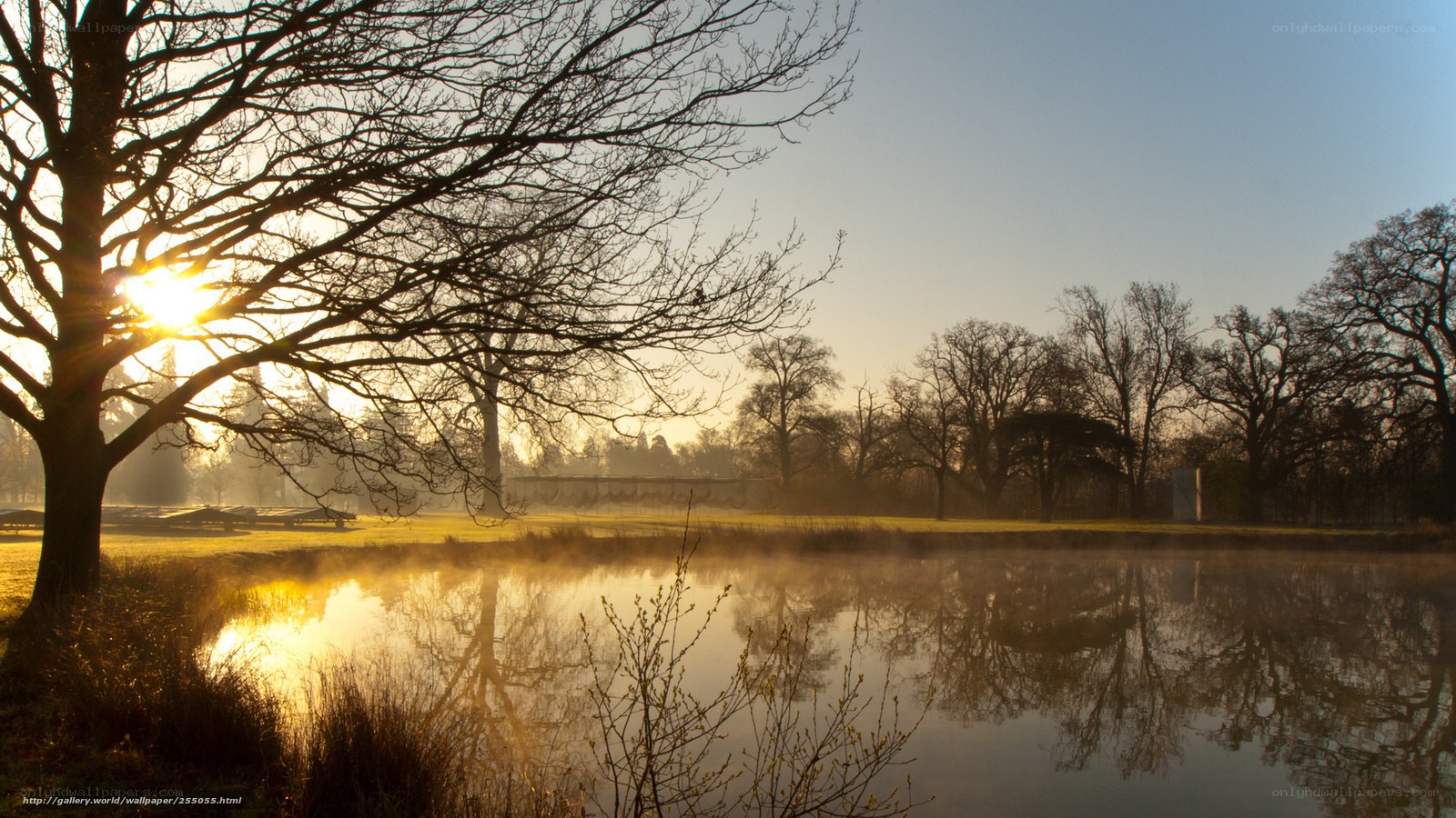 Sunrise over misty pond