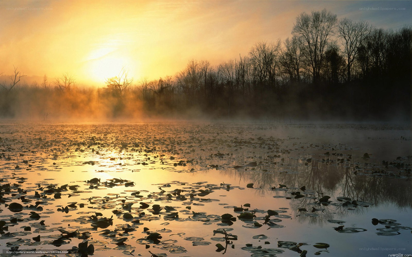 Sunrise over misty pond