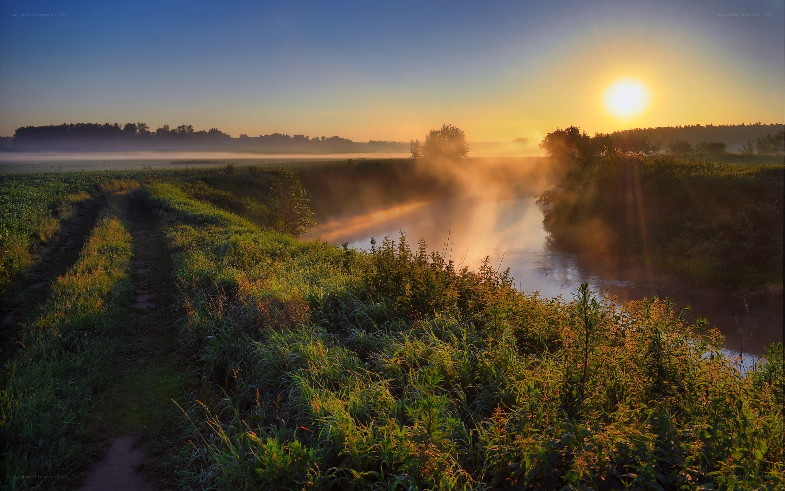 Sunrise over misty river