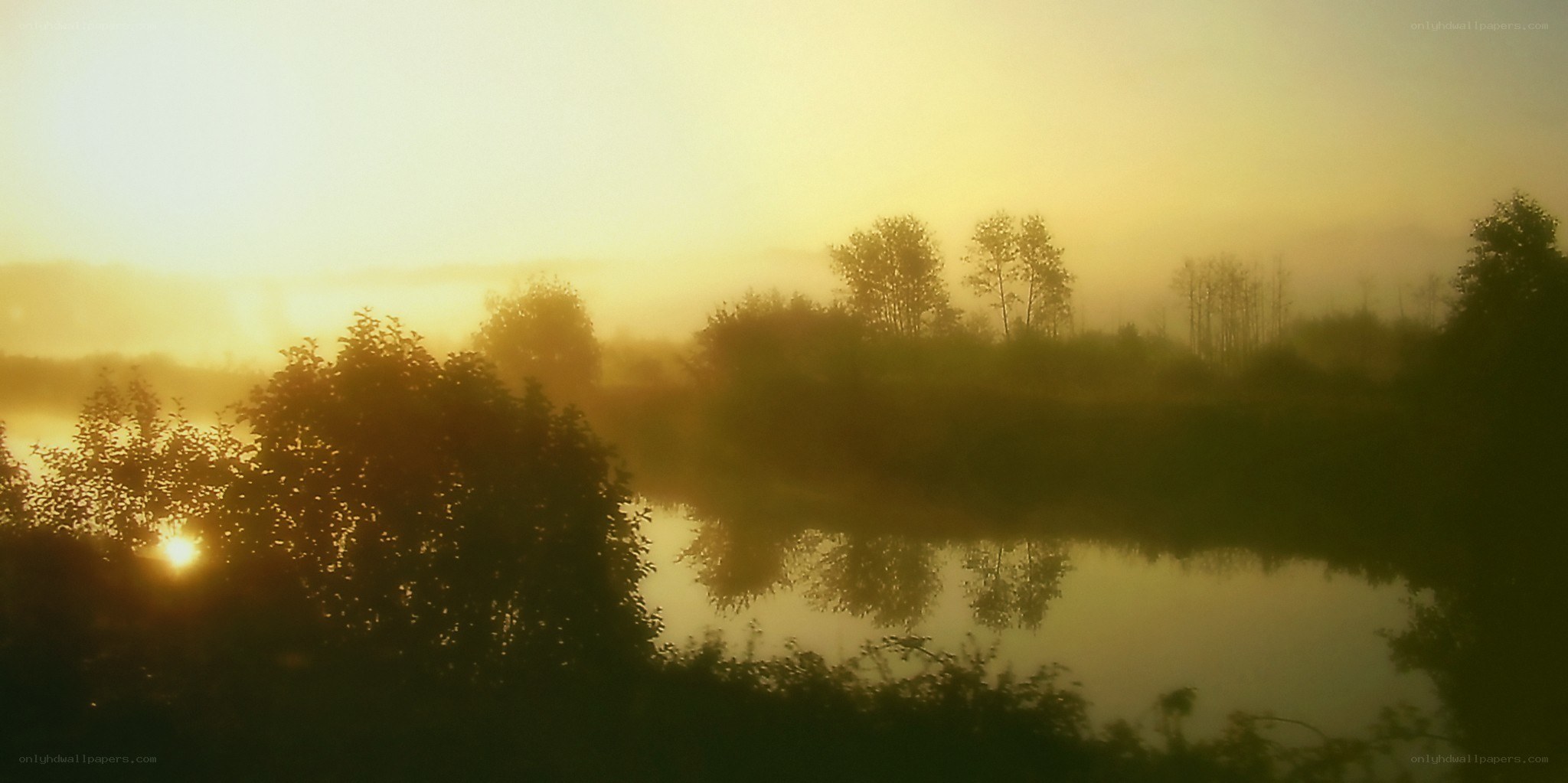 Sunrise over misty river