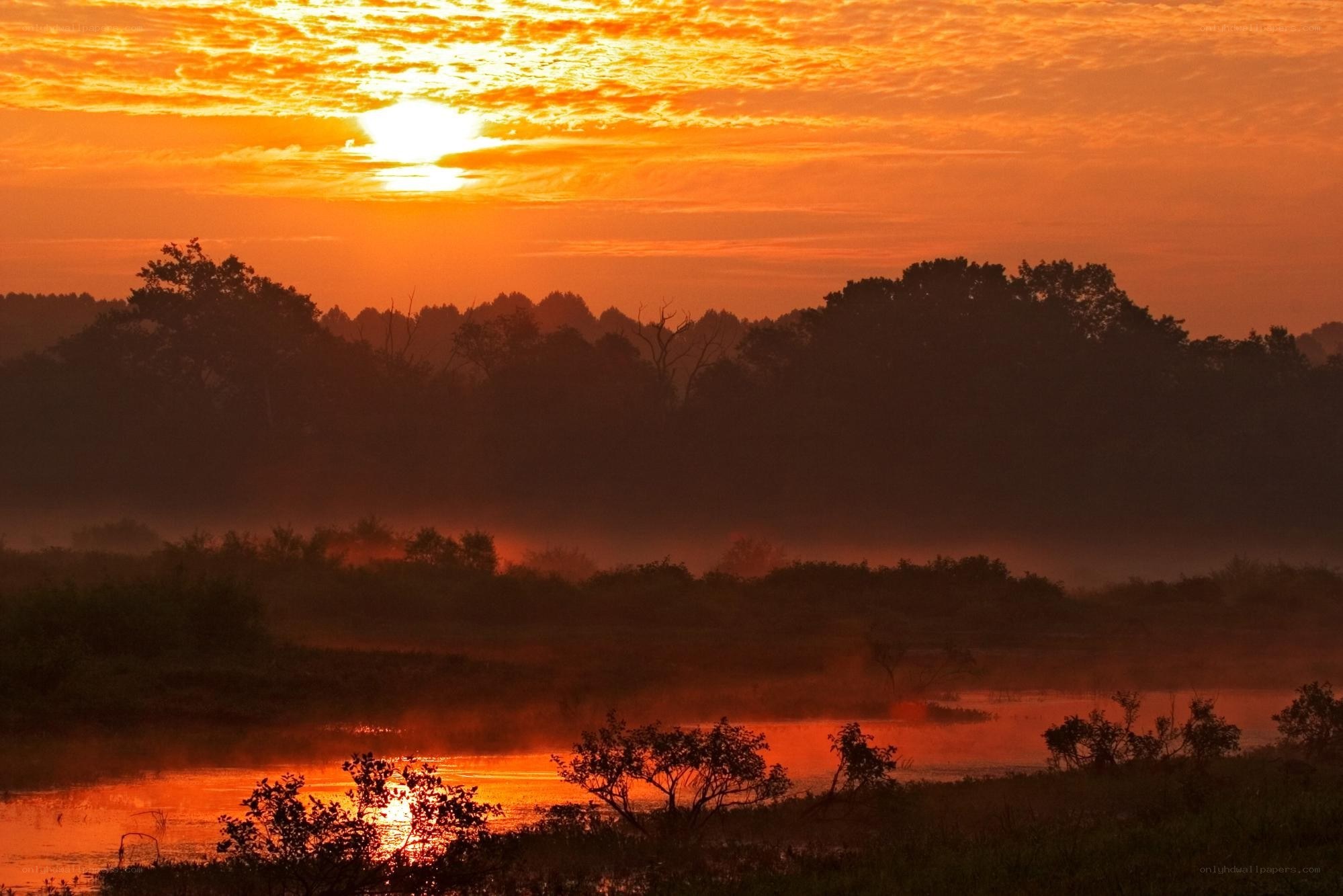 Sunrise over misty river