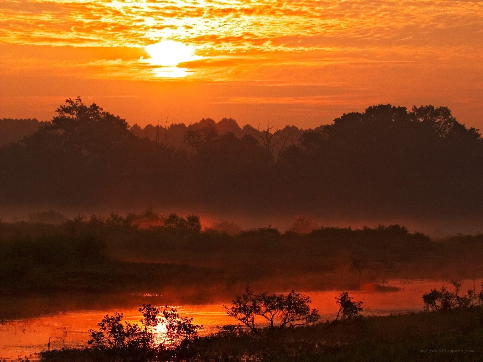 Sunrise over misty river