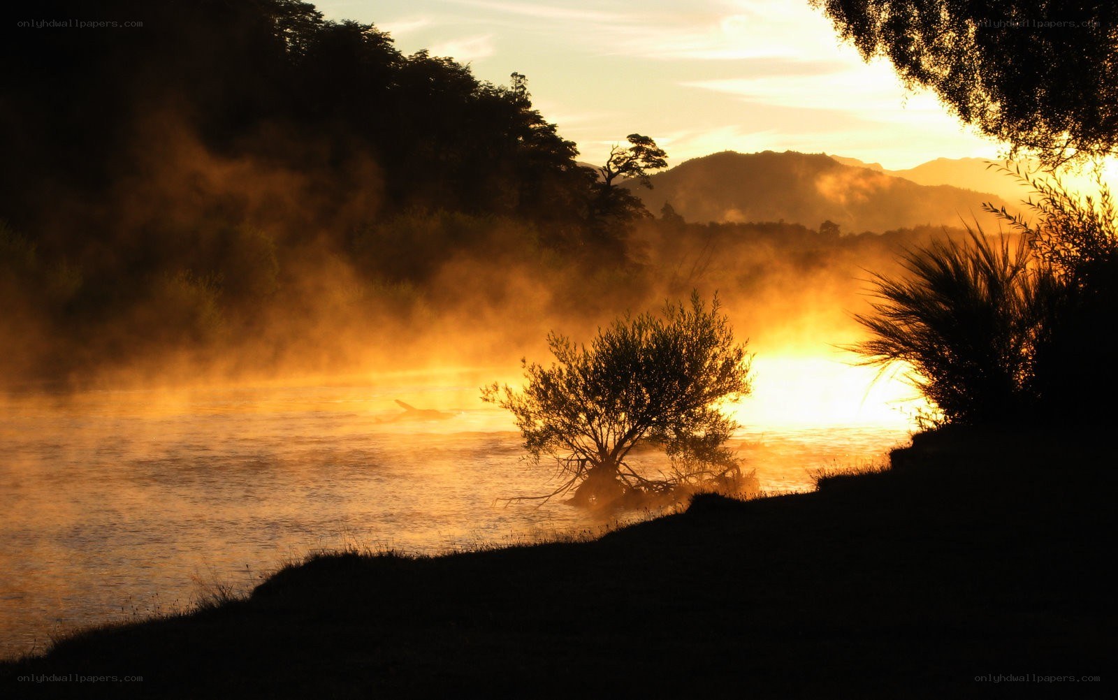 Sunrise over misty river