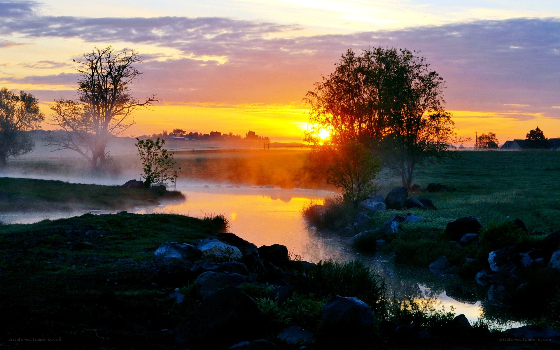 Sunrise over misty river