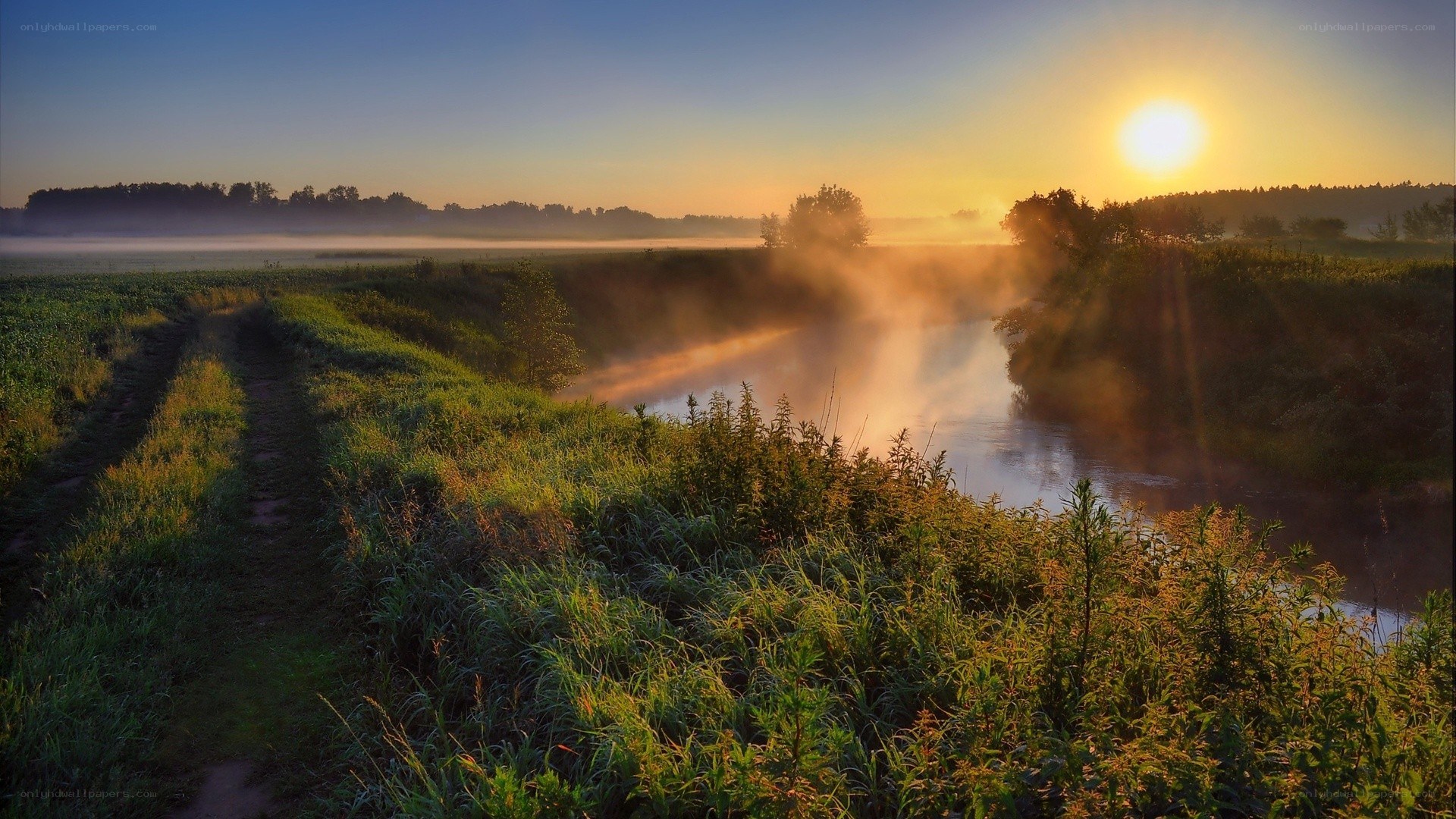 Sunrise over misty river
