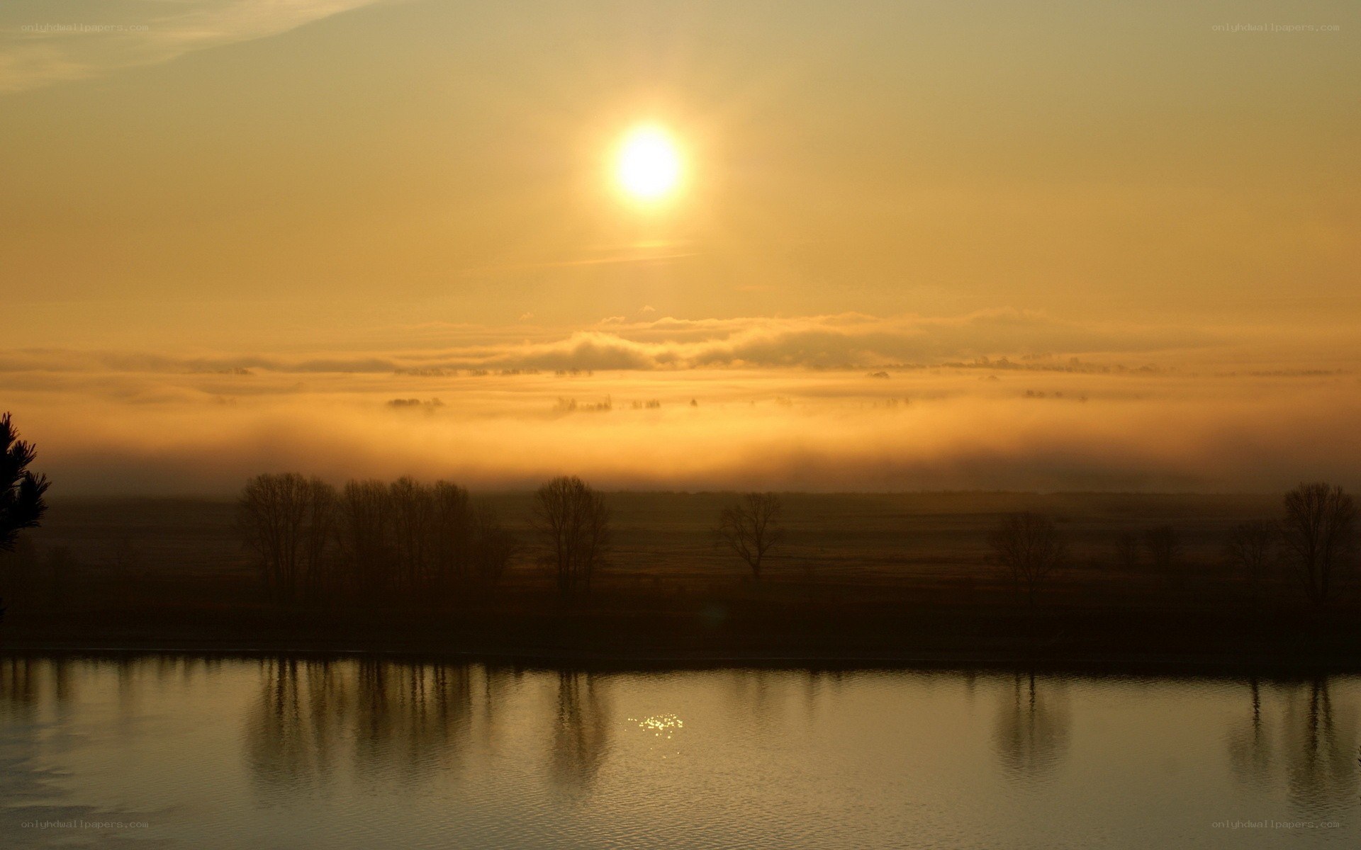 Sunrise over misty river