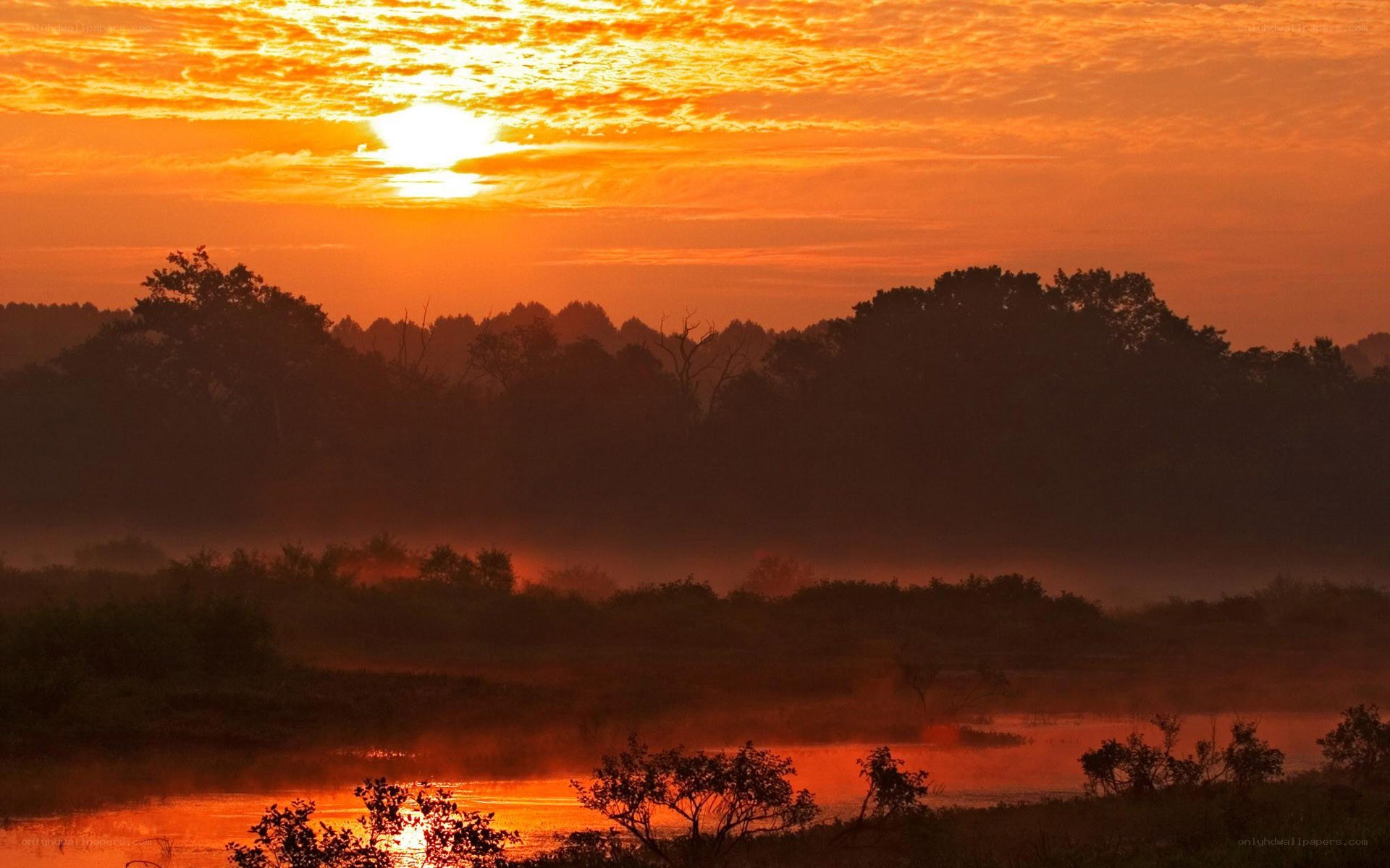 Sunrise over misty river