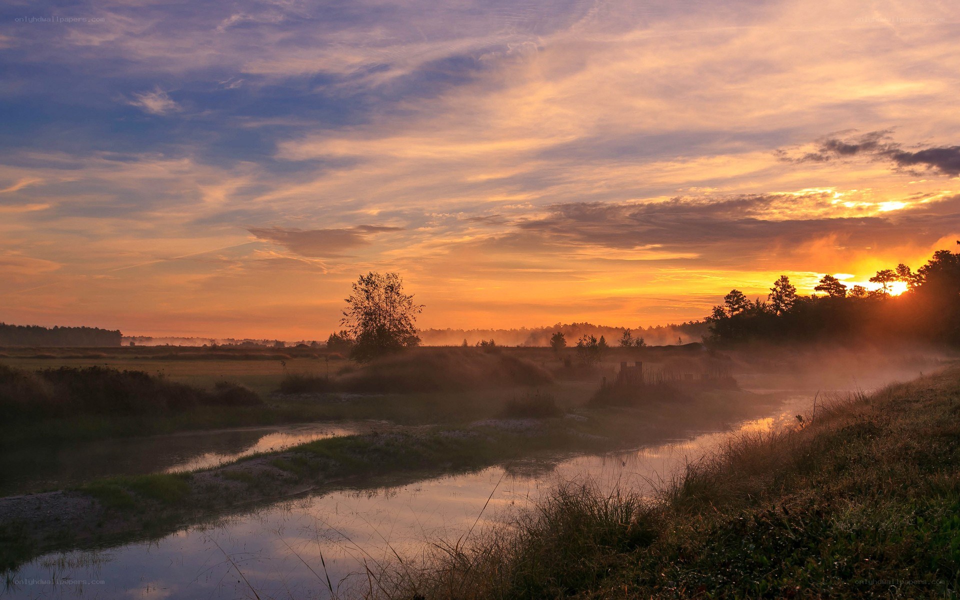 Sunrise over misty river