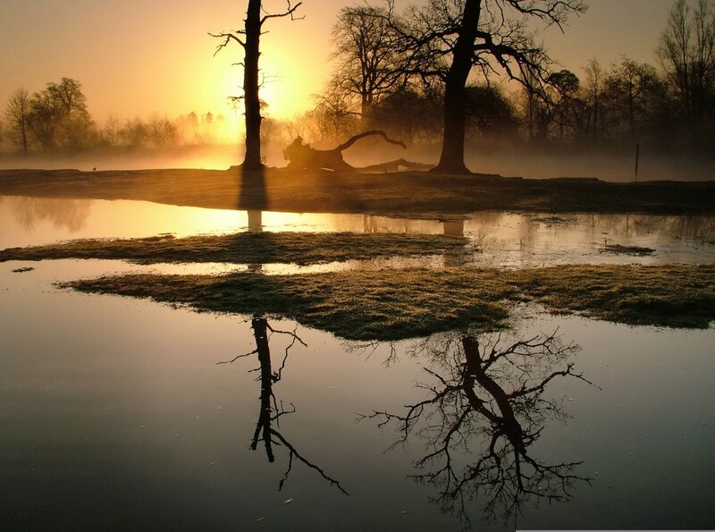 Sunrise over misty river