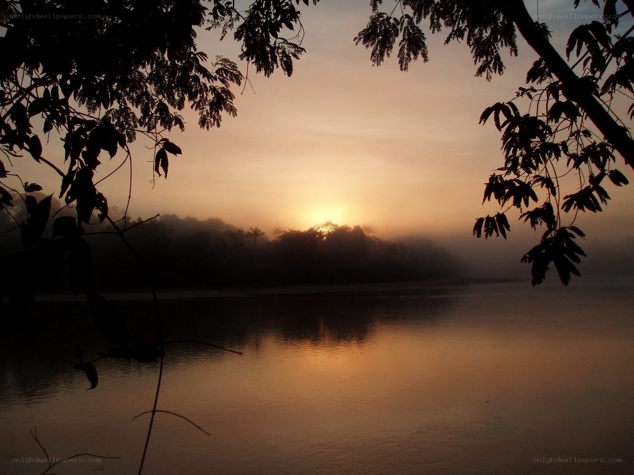 Sunrise over misty river