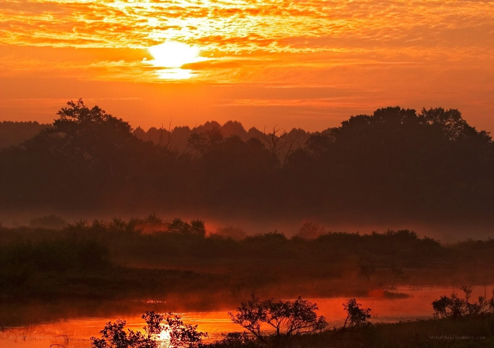 Sunrise over misty river