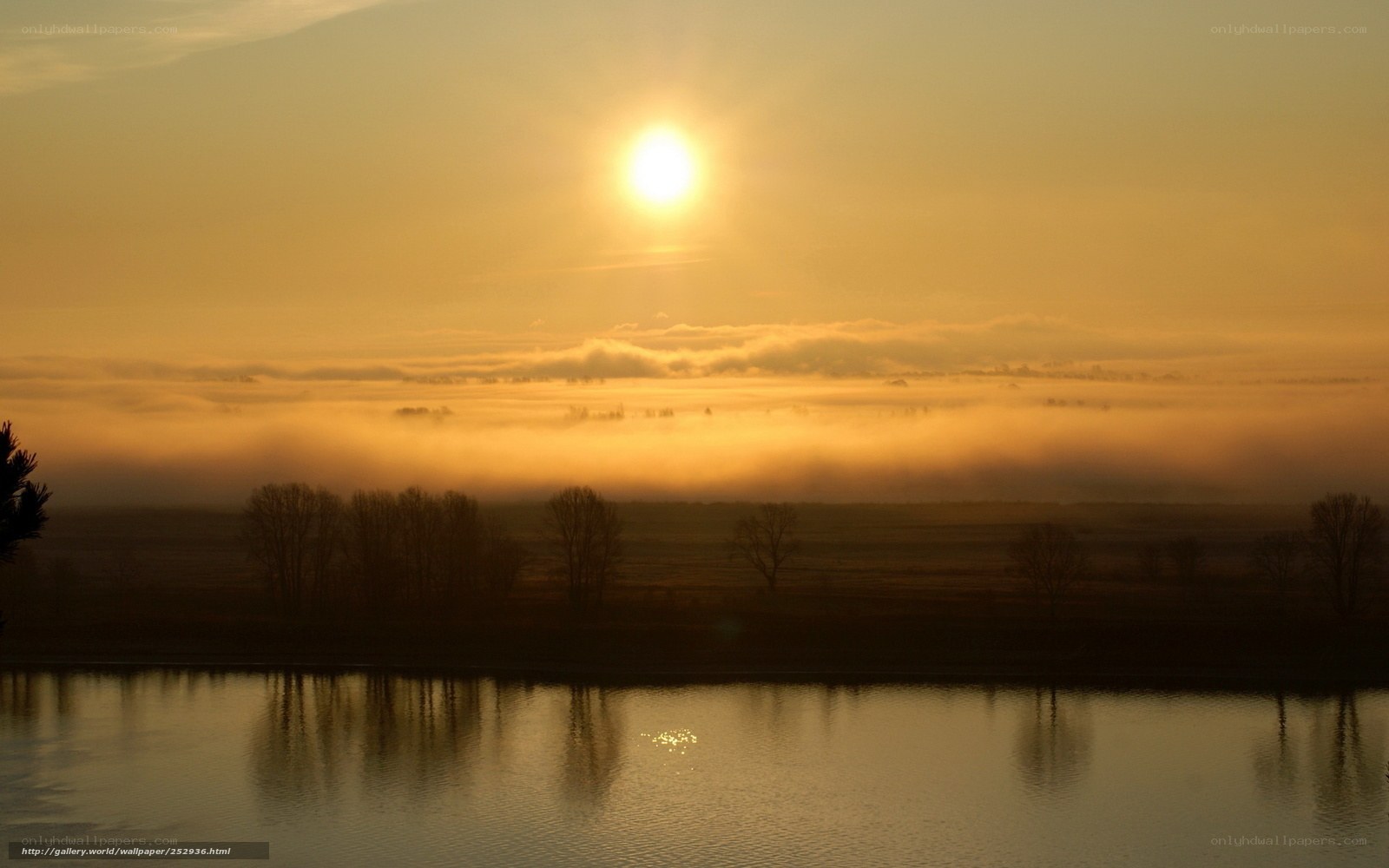 Sunrise over misty river
