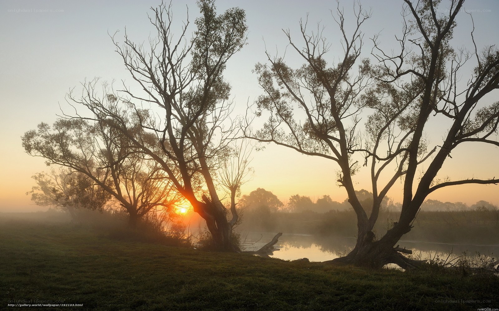 Sunrise over misty river