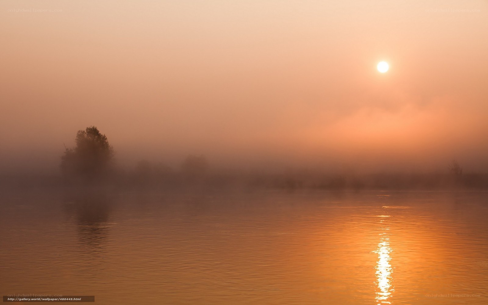 Sunrise over misty river