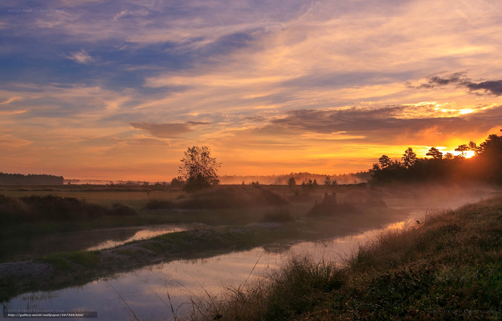 Sunrise over misty river