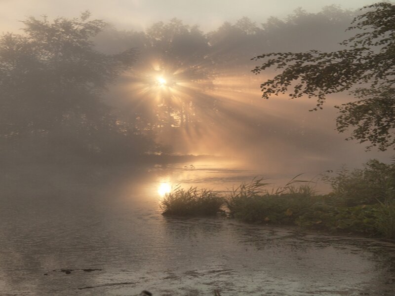 Sunrise over Misty River — Gold, Serene, Photograph