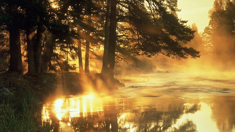Sunrise over Misty River — Gold, Serene, Photograph, Trees