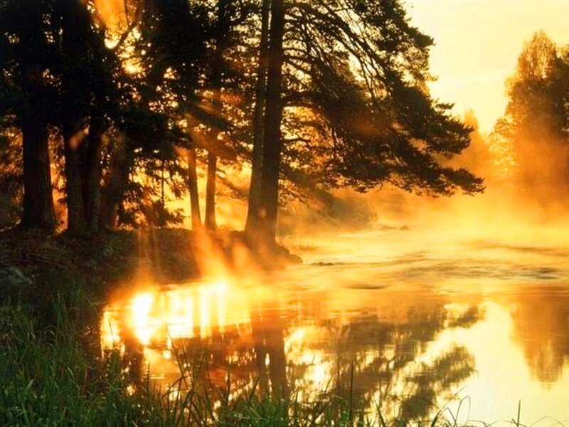 Sunrise over Misty River — Gold, Serene