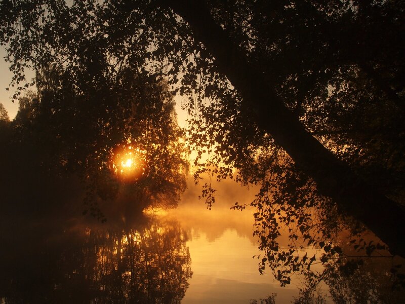 Sunrise over Misty River — Orange, Serene, Photograph