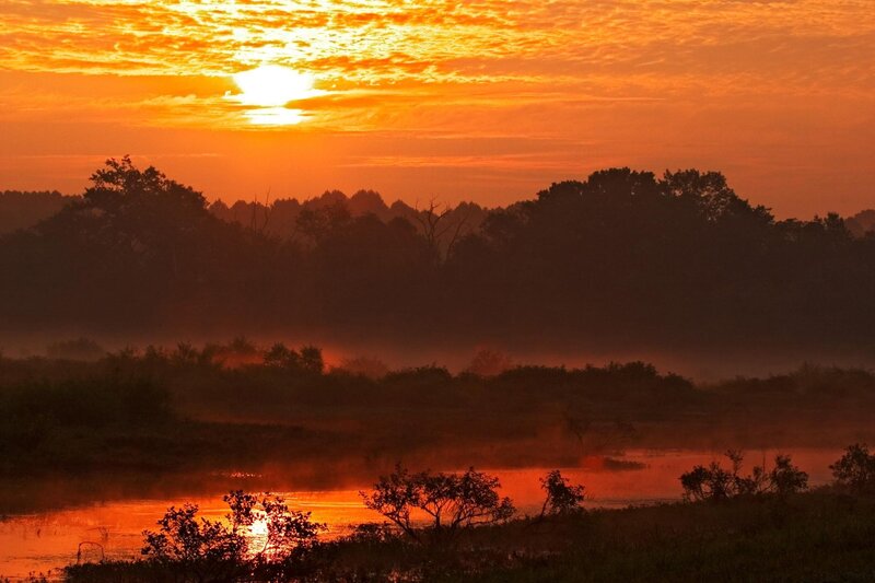 Sunrise over Misty River — Orange, Serene, Photograph, Trees, Fog, Red
