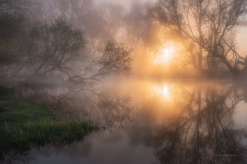 Sunrise over Misty River — Orange, Serene, Photograph, Trees, Fog