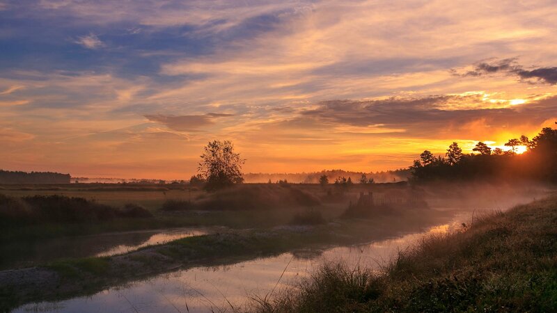 Sunrise over Misty River — Orange, Serene, Photograph, Trees