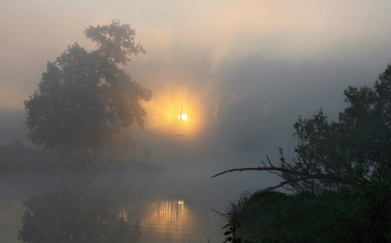 Sunrise over Misty River — Yellow