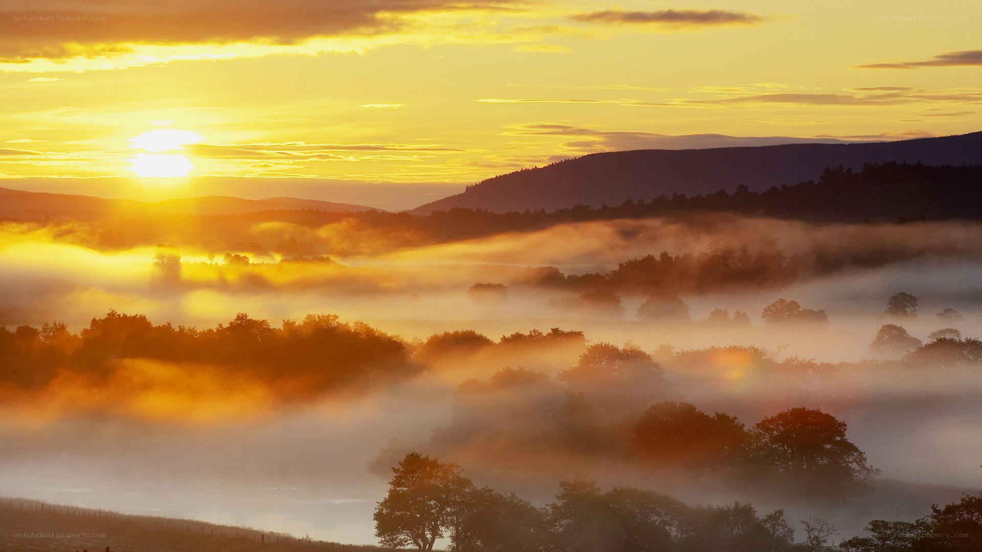 Sunrise over misty valley