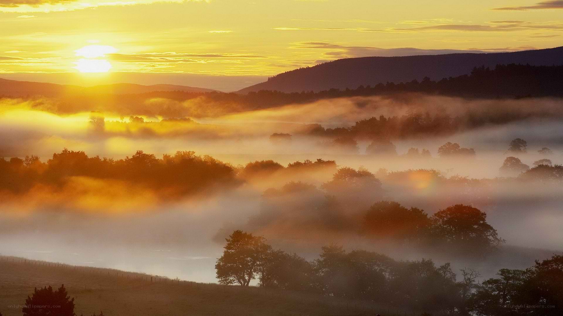 Sunrise over misty valley