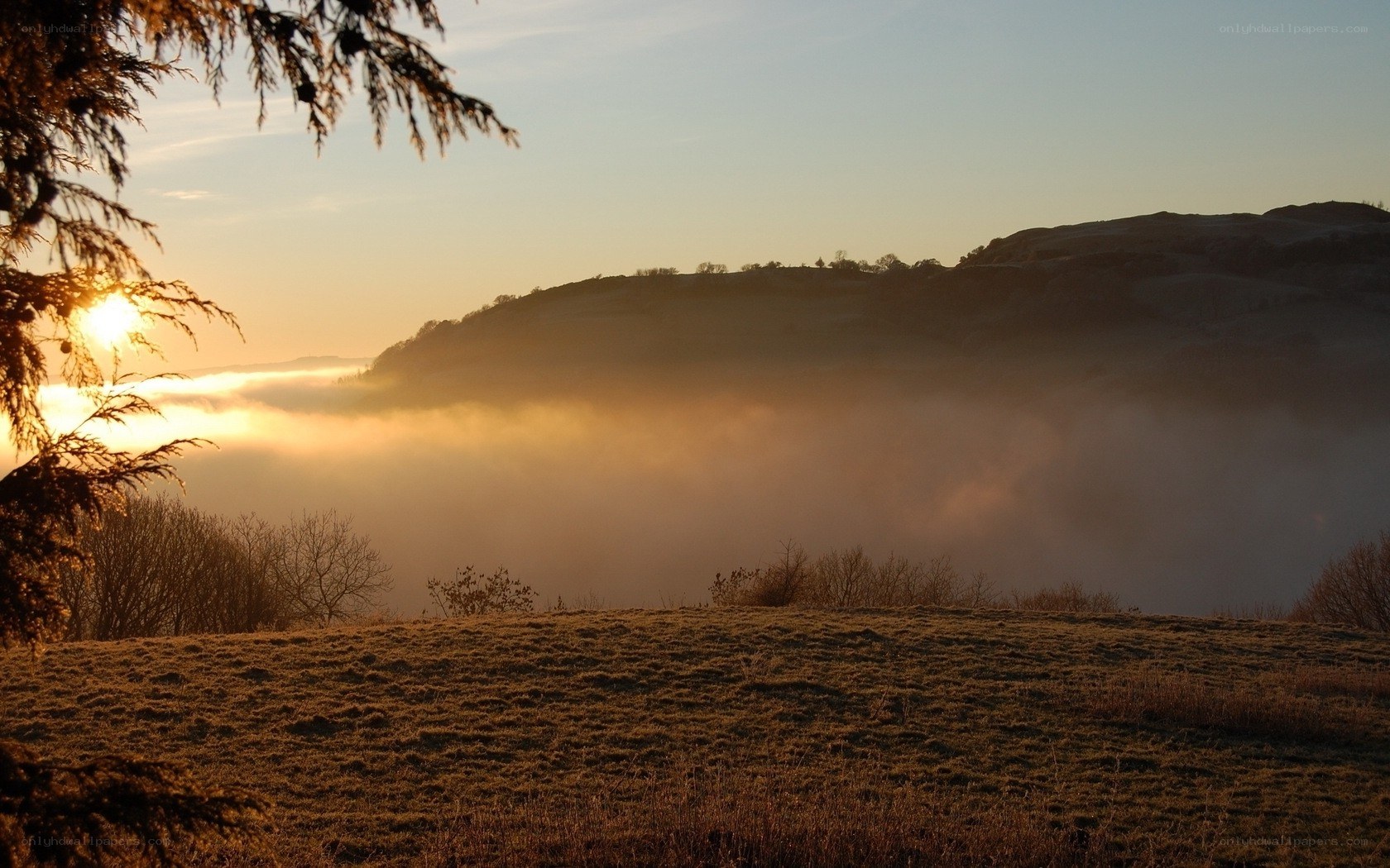 Sunrise over misty valley
