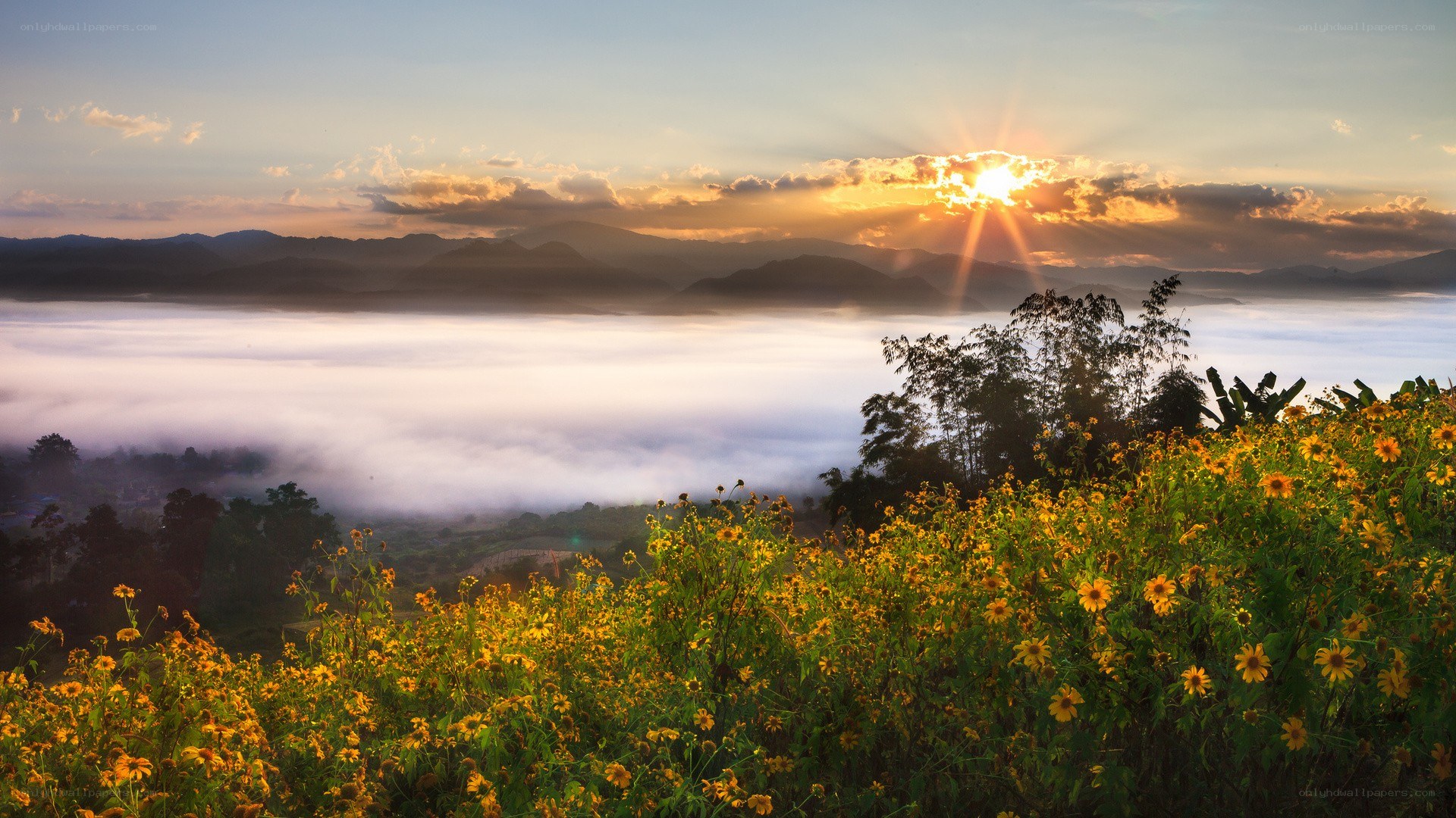 Sunrise over misty valley
