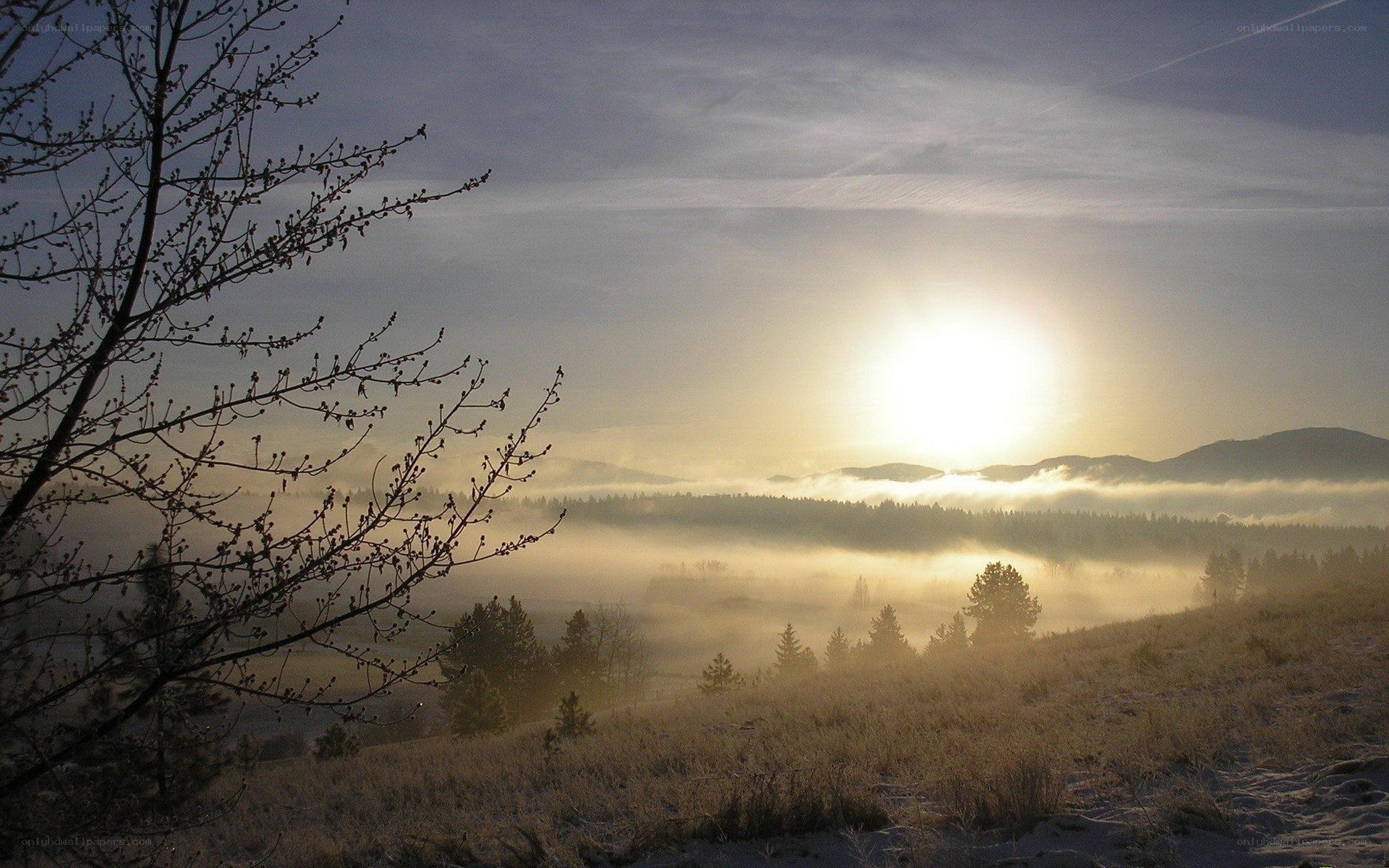Sunrise over misty valley