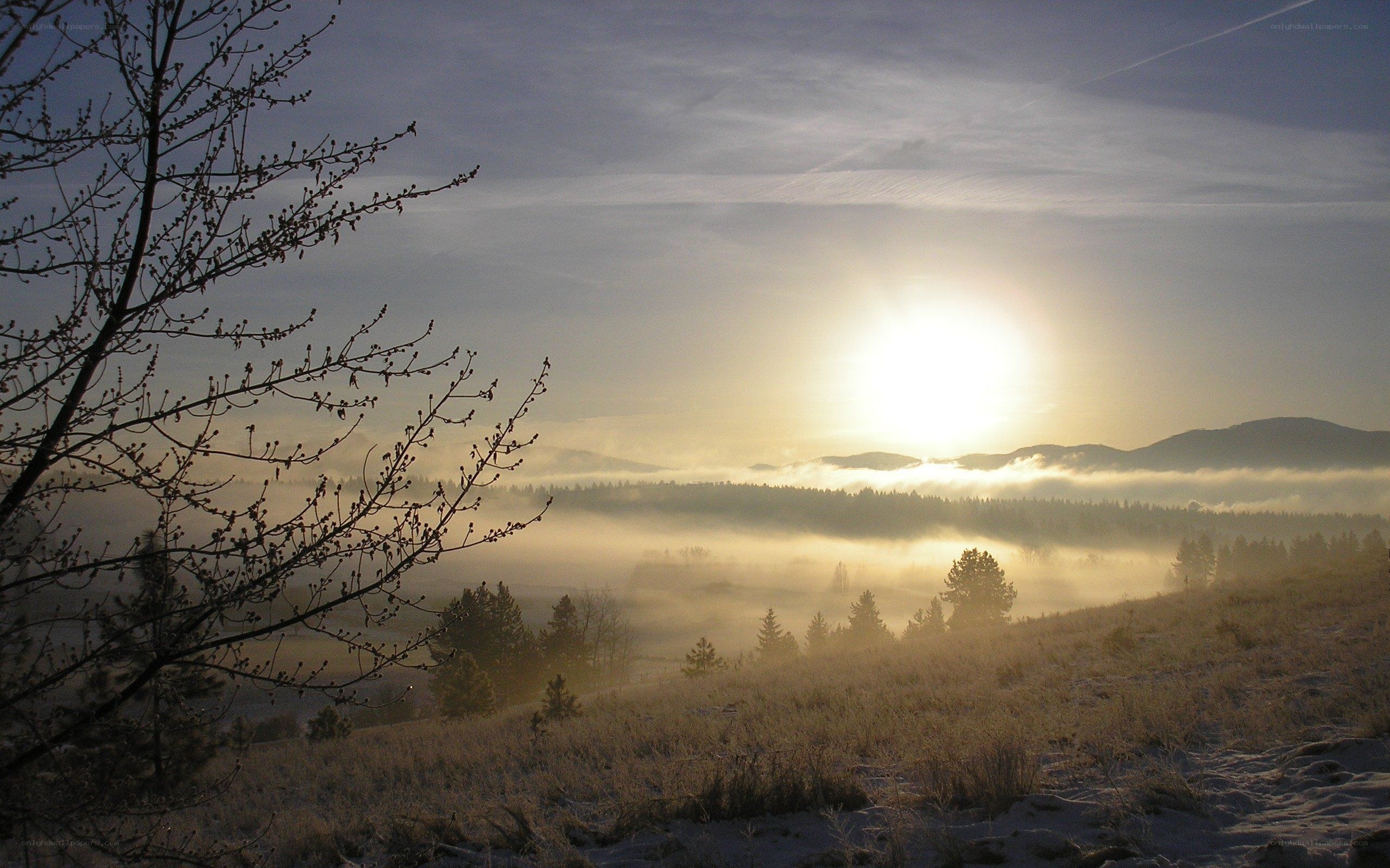 Sunrise over misty valley