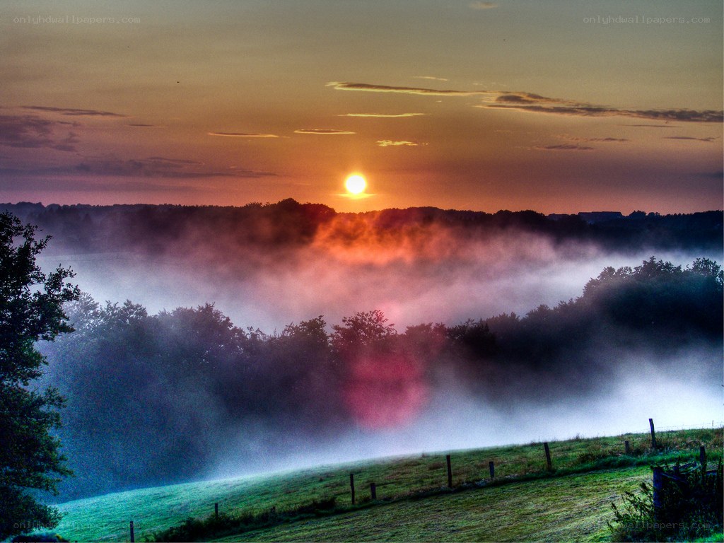 Sunrise over misty valley